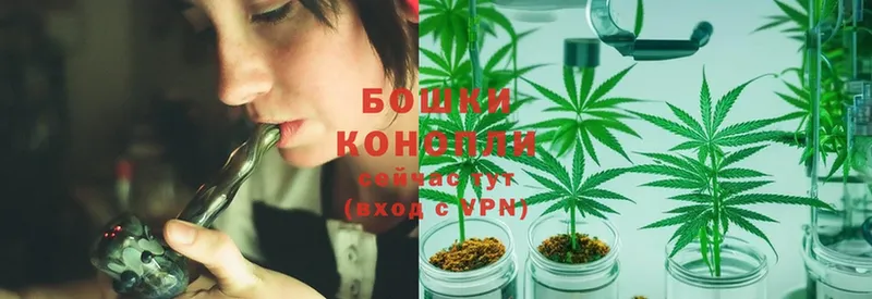 Канабис OG Kush  наркота  Аксай 